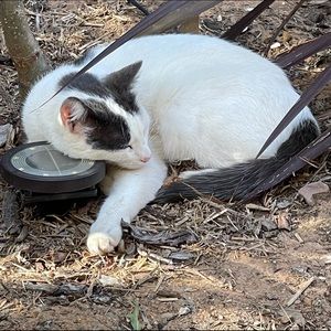 Meet your Posher, Marg